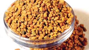 6 Beauty and Health Benefits of Fenugreek Seeds