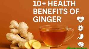 Health Benefits of Ginger: A Complete Guide to Its Healing Power
