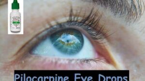 Pilocarpine Eye Drops: Usage, The Rule For Using It, and Side Effects