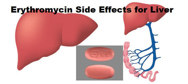 Erythromycin Side Effects for Liver