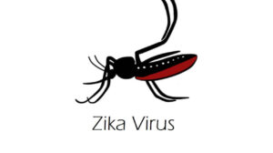 Zika Virus: Causes, 3 Risk Factors, Symptoms, Diagnosis, Treatment, and Prevention