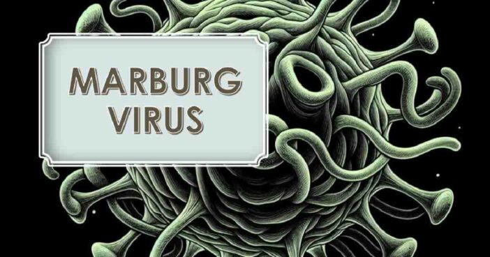 Marburg Virus