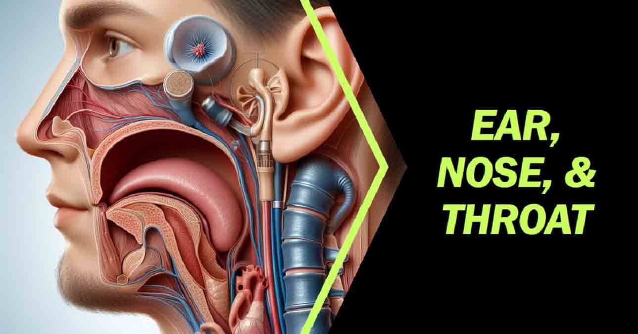 Ear, Nose, & Throat