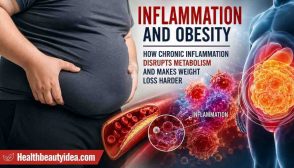 Inflammation and Obesity: How Chronic Inflammation Disrupts Metabolism and Makes Weight Loss Harder